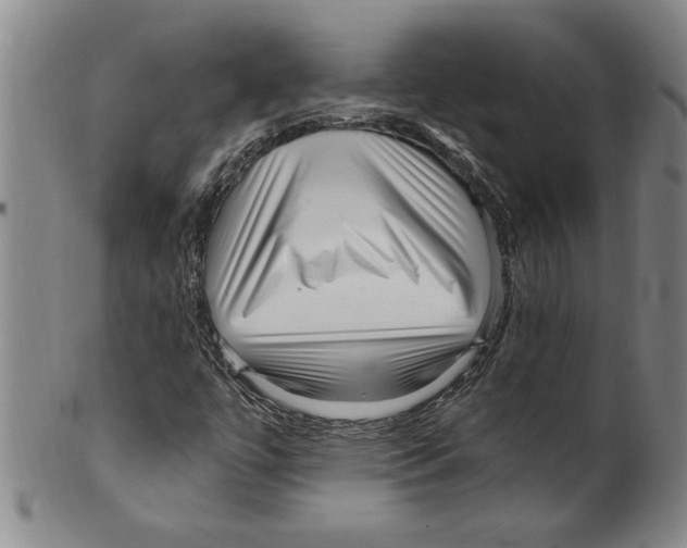 X0000099481447200806061233