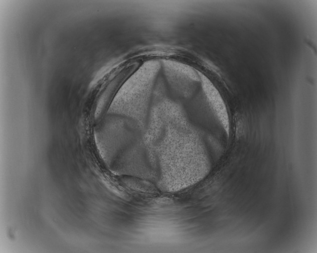 X0000099481448200806061233