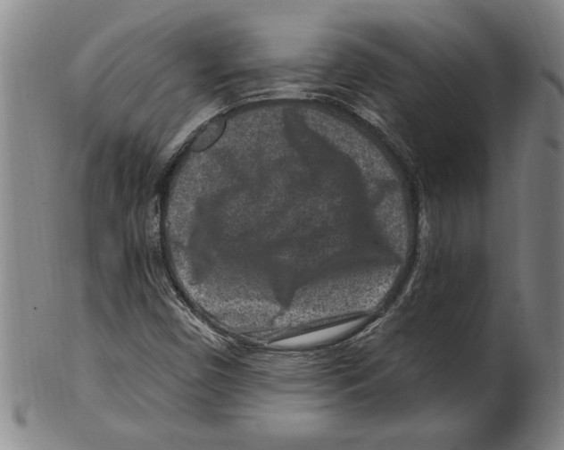 X0000099481450200806061233