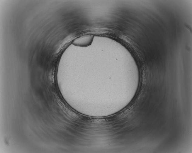 X0000099481451200806061233