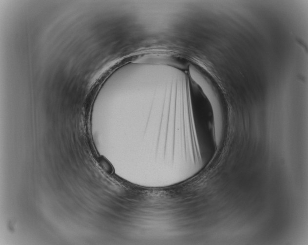 X0000099481452200806061233