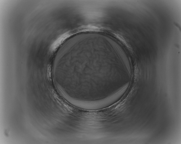 X0000099481455200806061233