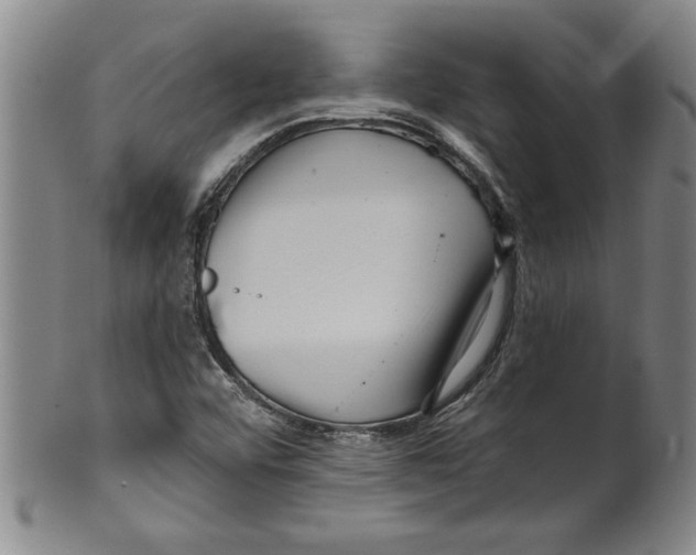 X0000099481456200806061233