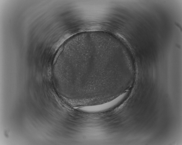 X0000099481457200806061233
