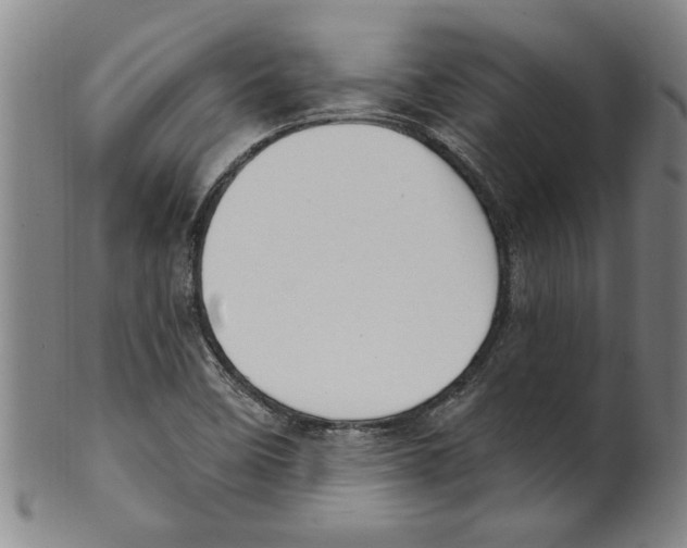 X0000099481458200806061233