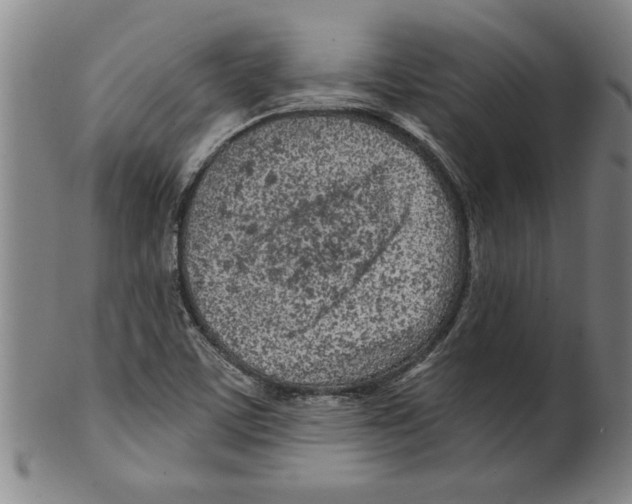 X0000099481459200806061233