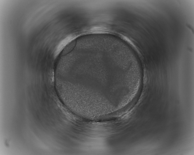 X0000099481461200806061233