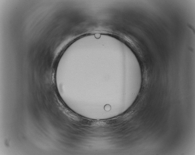 X0000099481462200806061233