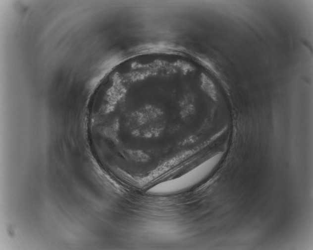X0000099481463200806061233