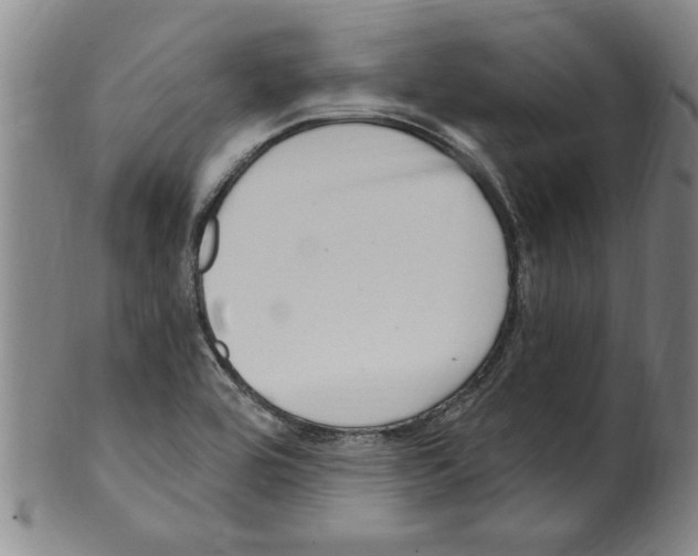 X0000099481464200806061233