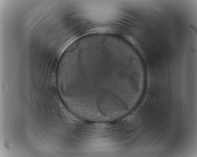 X0000099481465200806061233