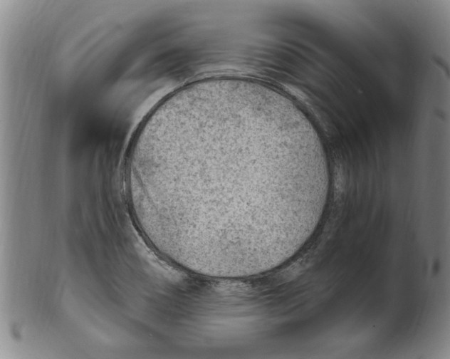 X0000099481466200806061233
