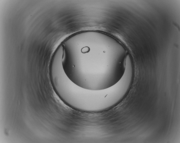 X0000099481468200806061233