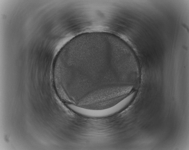 X0000099481469200806061233