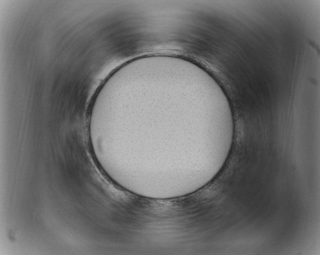 X0000099481470200806061233