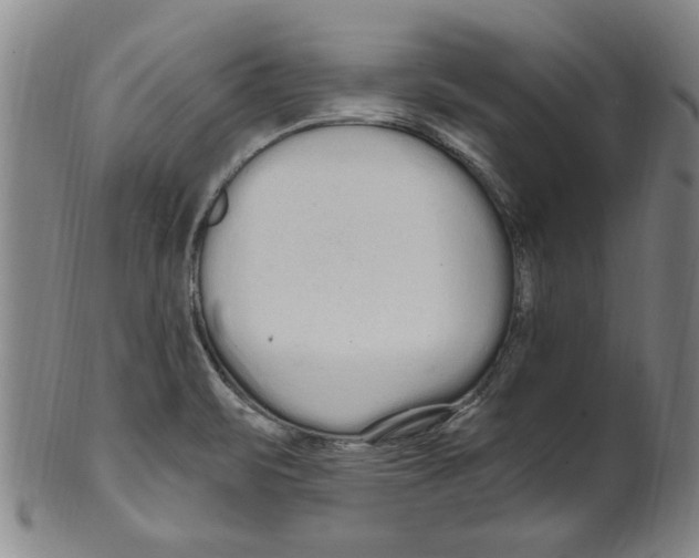 X0000099481471200806061233