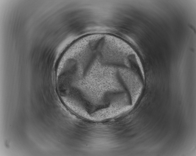X0000099481472200806061233