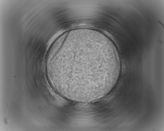 X0000099481474200806061232