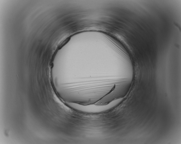 X0000099481476200806061232