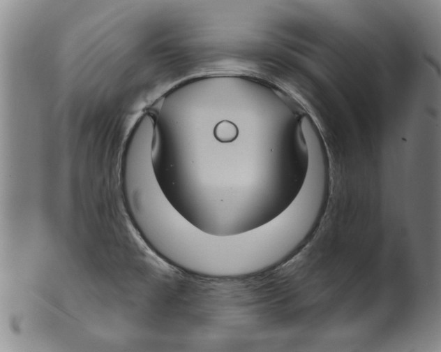 X0000099481477200806061232