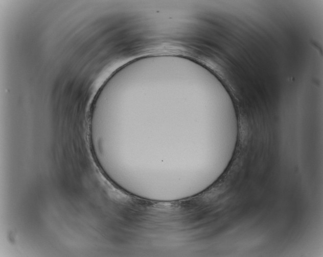X0000099481478200806061232