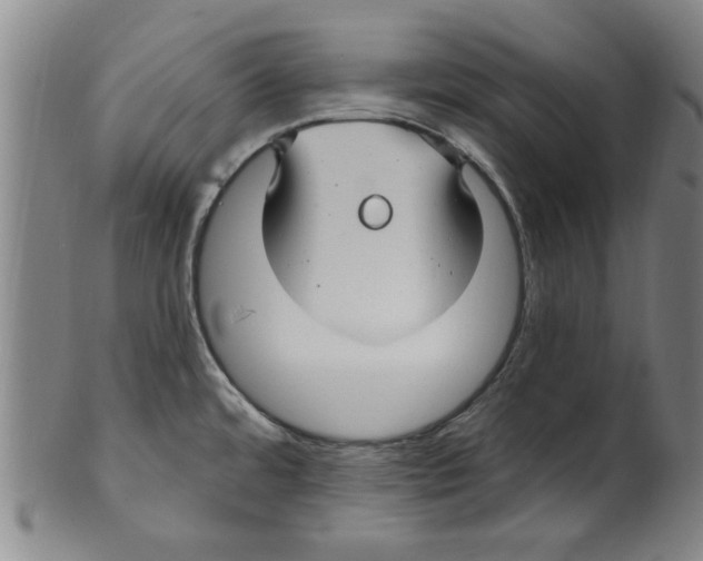X0000099481480200806061232