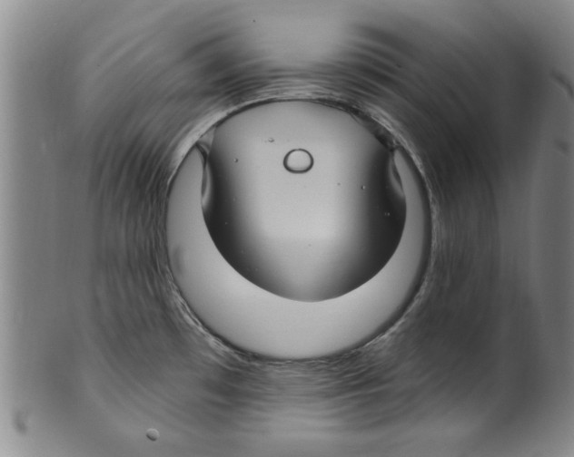 X0000099481481200806061232