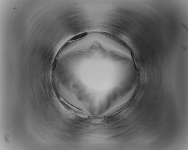 X0000099481484200806061232