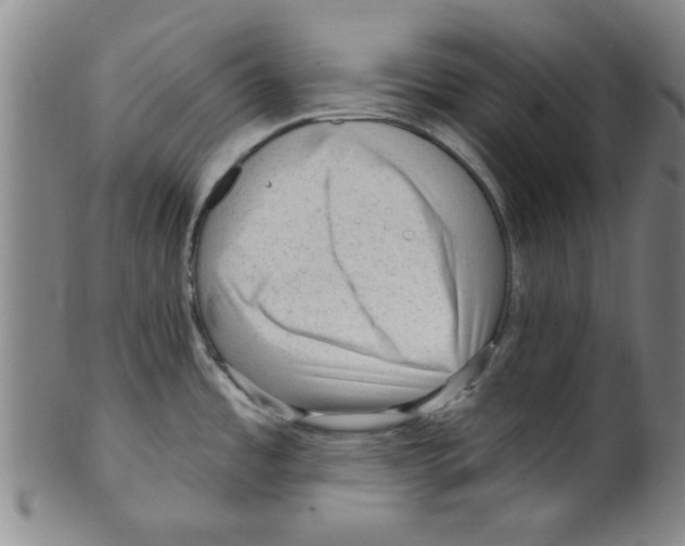 X0000099481485200806061232