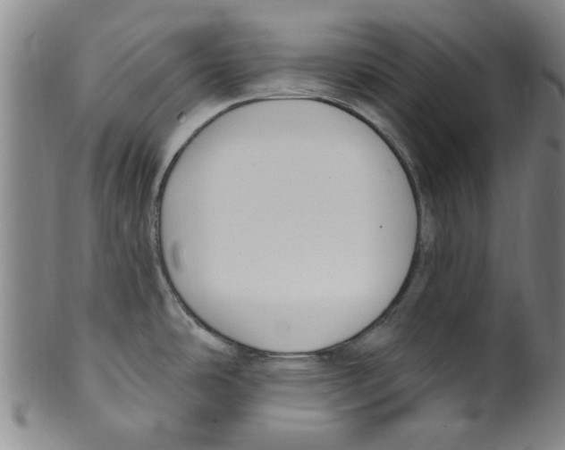 X0000099481486200806061232