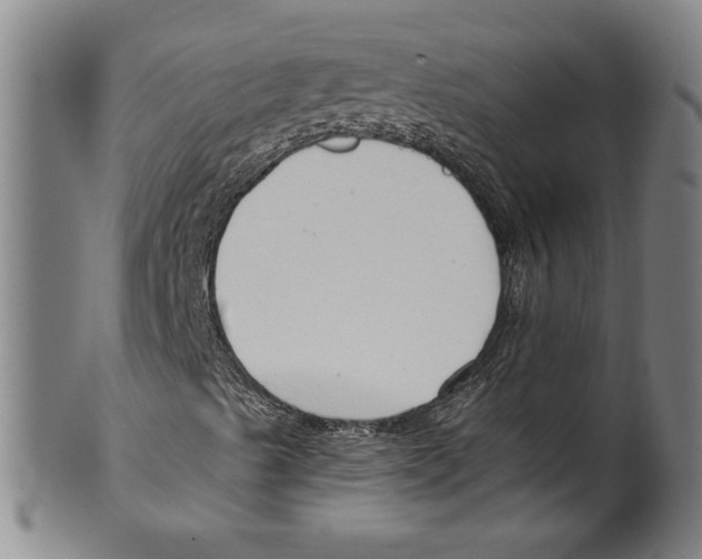X0000099481489200806061231