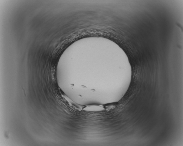 X0000099481490200806061231