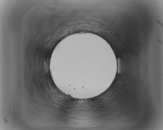 X0000099481491200806061231