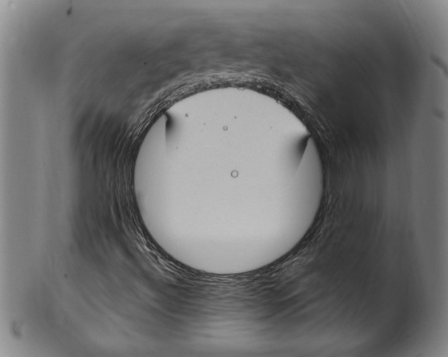 X0000099481492200806061231