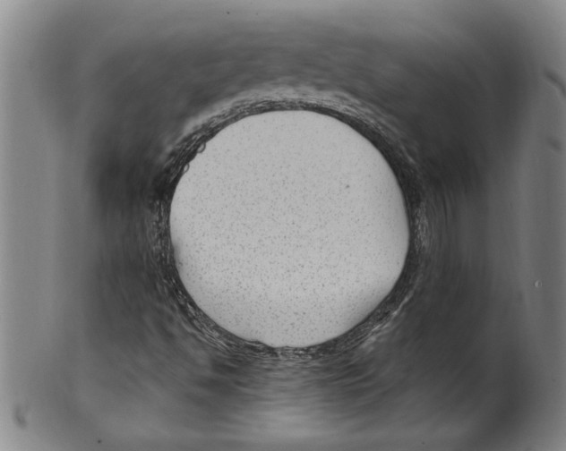 X0000099481494200806061231
