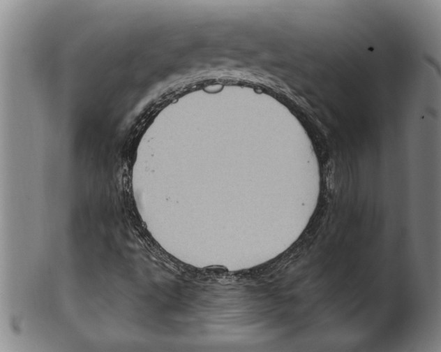 X0000099481495200806061232