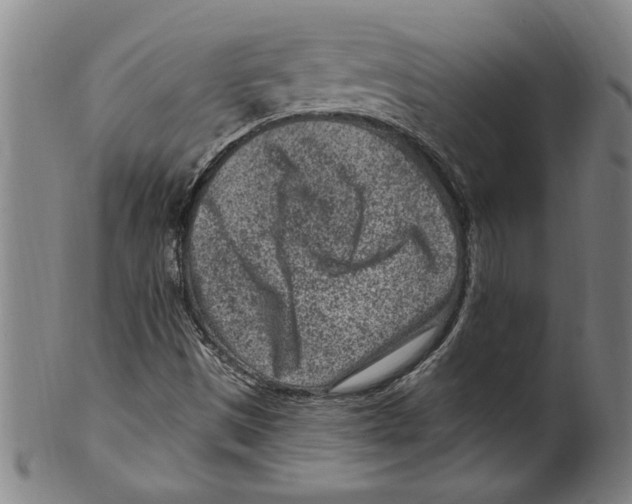 X0000099481497200806061232