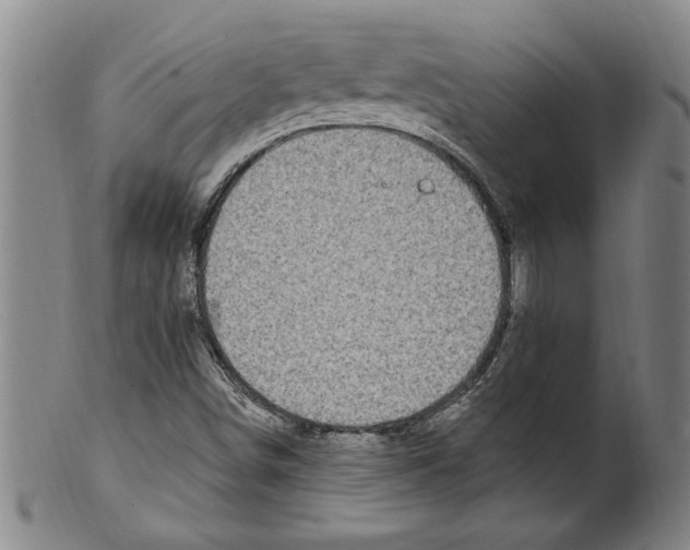 X0000099481498200806061232