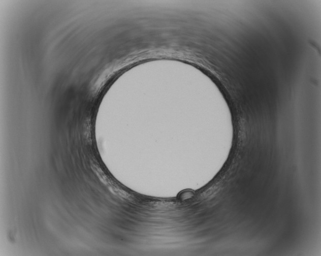 X0000099481499200806061232