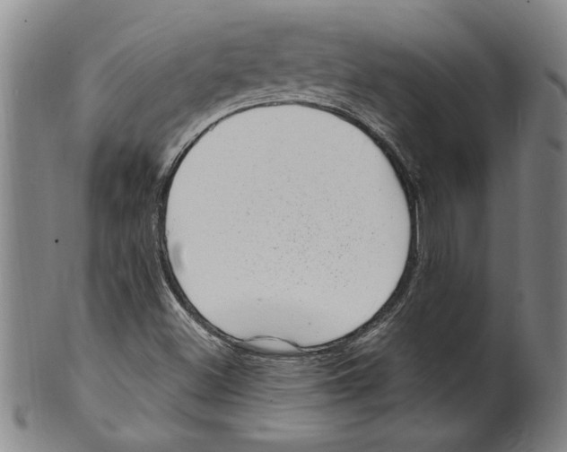 X0000099481500200806061232