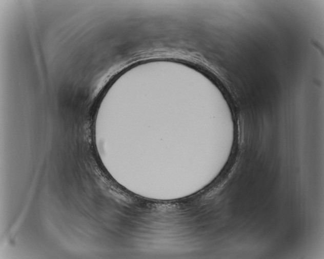 X0000099481501200806061232