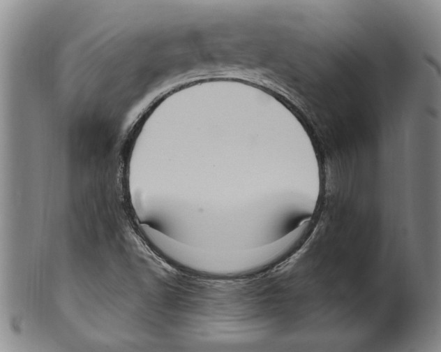 X0000099481502200806061232