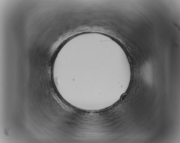 X0000099481503200806061232