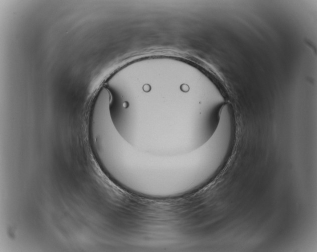 X0000099481504200806061232