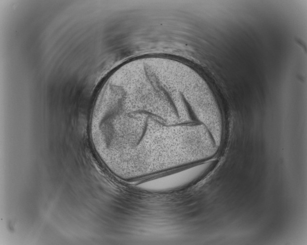 X0000099481505200806061232