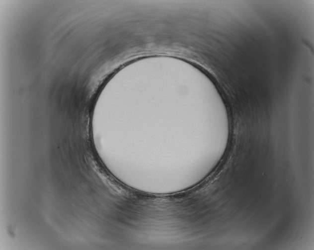 X0000099481507200806061232