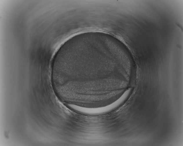 X0000099481508200806061232