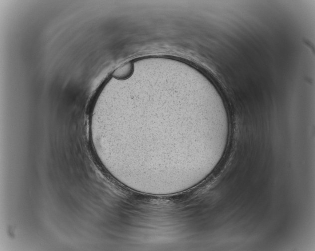 X0000099481509200806061232