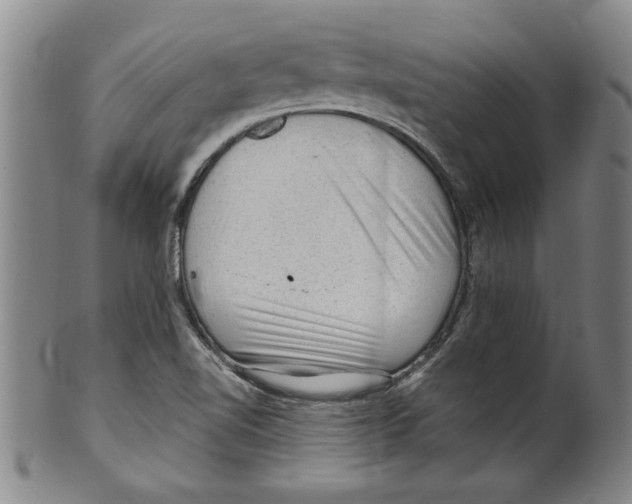 X0000099481510200806061232