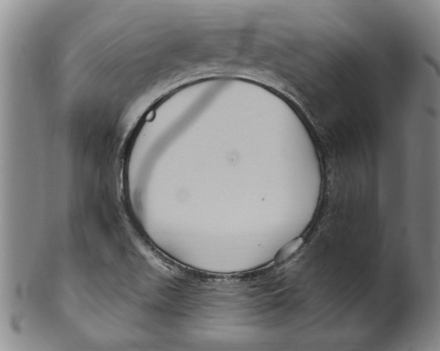 X0000099481511200806061232